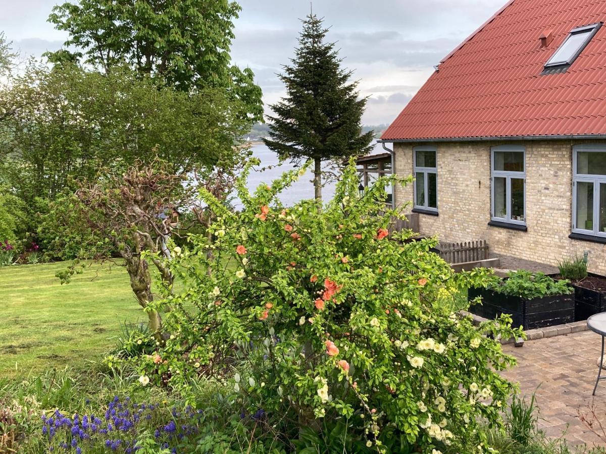 Bogebjerggard Bed & Breakfast Sønderborg エクステリア 写真