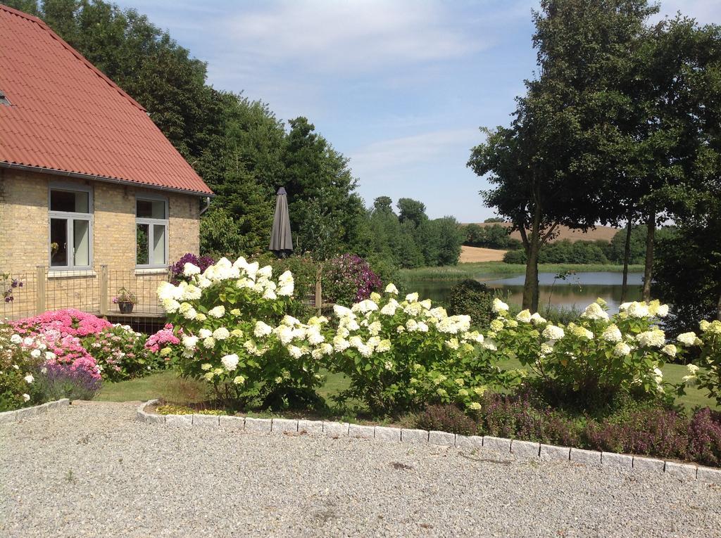 Bogebjerggard Bed & Breakfast Sønderborg エクステリア 写真