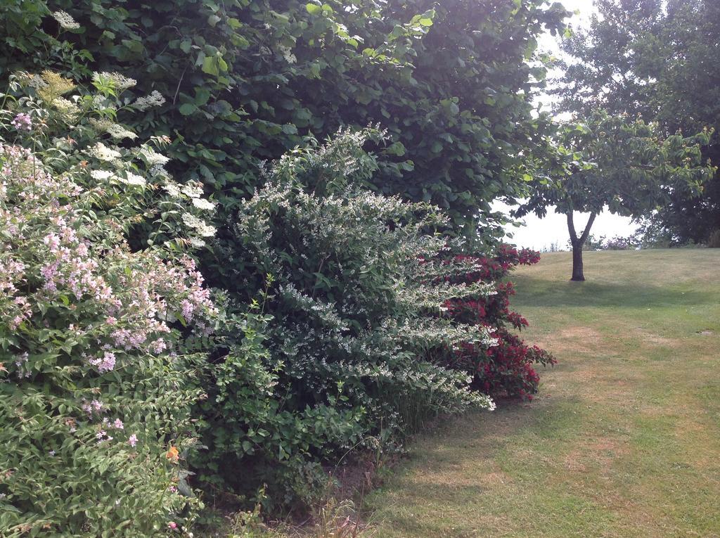 Bogebjerggard Bed & Breakfast Sønderborg エクステリア 写真
