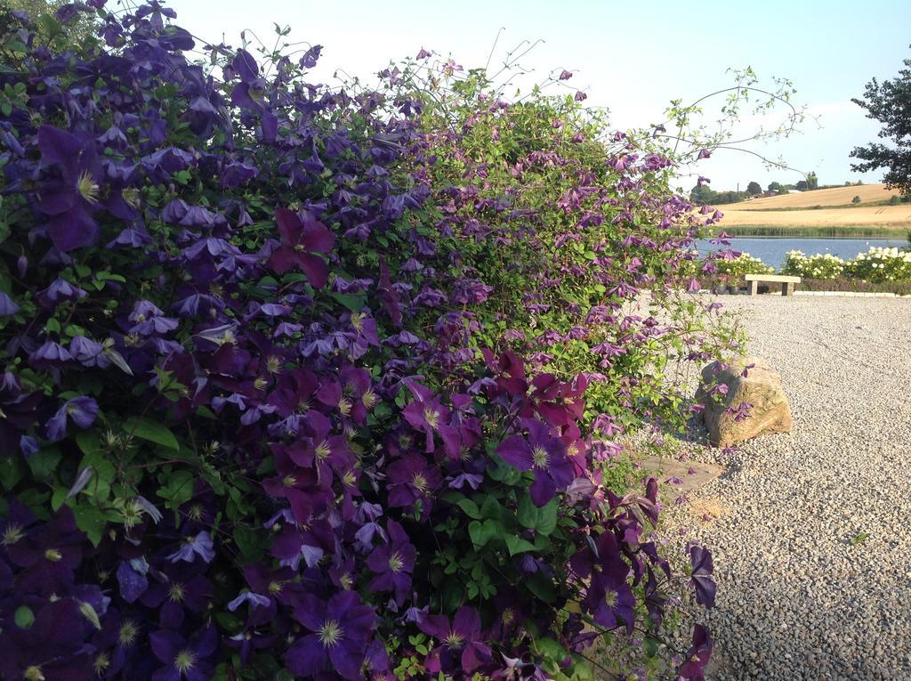 Bogebjerggard Bed & Breakfast Sønderborg エクステリア 写真