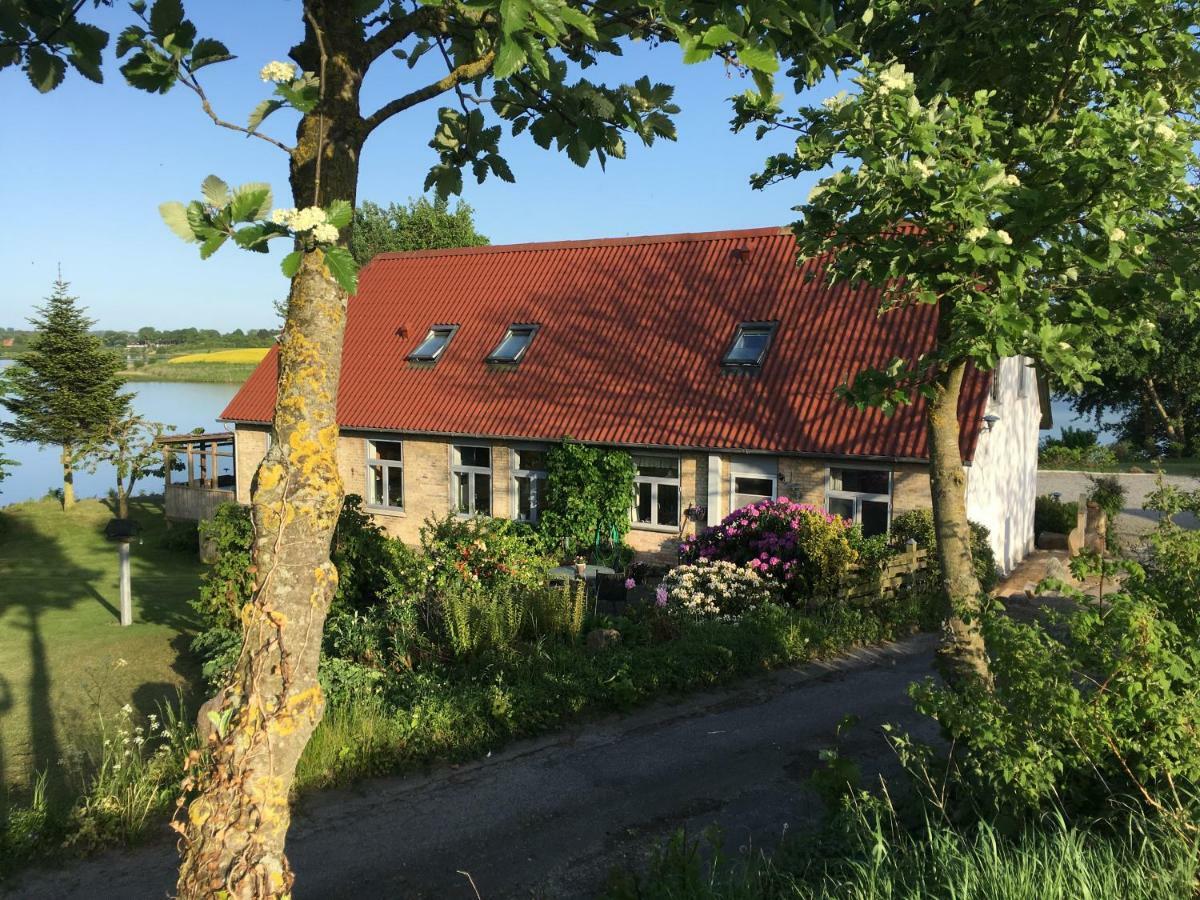 Bogebjerggard Bed & Breakfast Sønderborg エクステリア 写真