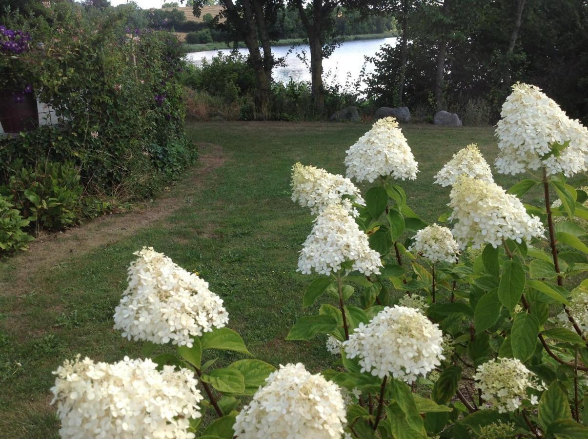 Bogebjerggard Bed & Breakfast Sønderborg エクステリア 写真