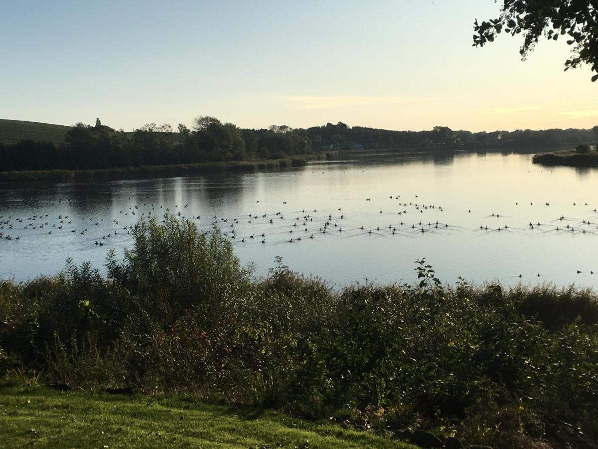 Bogebjerggard Bed & Breakfast Sønderborg エクステリア 写真